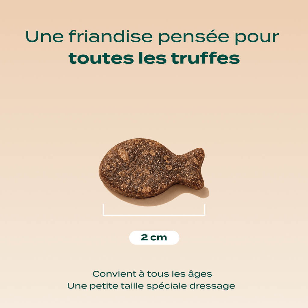 DRESSAGE TRUITE