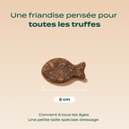 DRESSAGE TRUITE