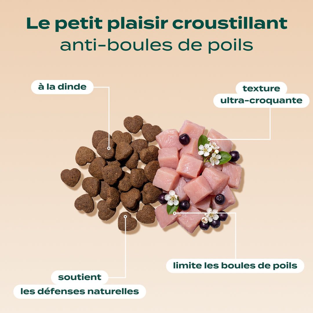 PACK ANTI-BOULES DE POILS CHAT