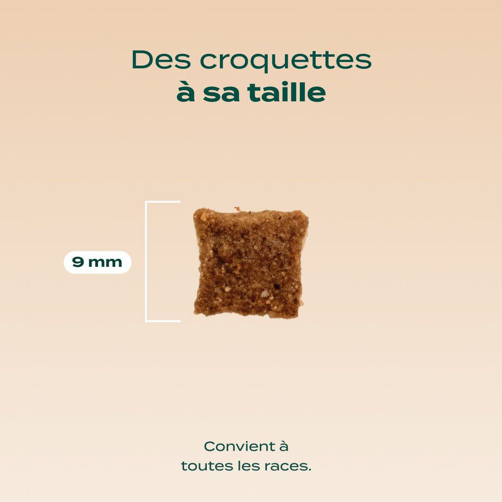 POULET, MYRTILLE, BASILIC