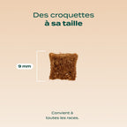 POULET, MYRTILLE, BASILIC
