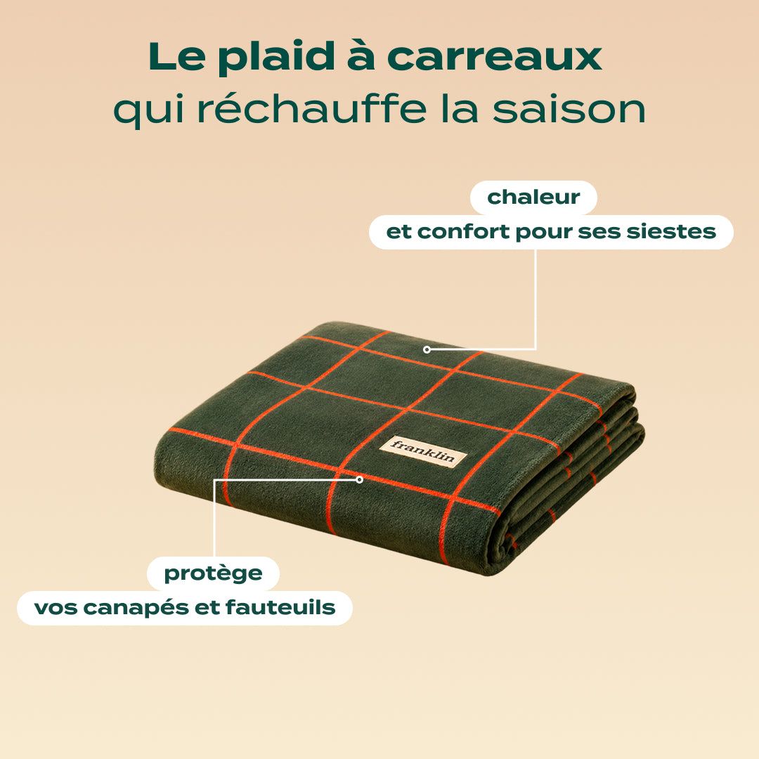 PLAID À CARREAUX