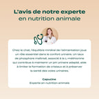 CANARD, COURGE, CAMOMILLE