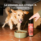 HUILE DE SAUMON