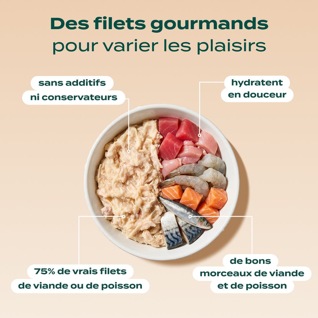 PACK PEAU ET PELAGE CHAT
