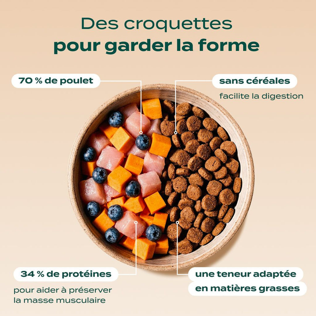 PACK CHIEN STÉRILISÉ