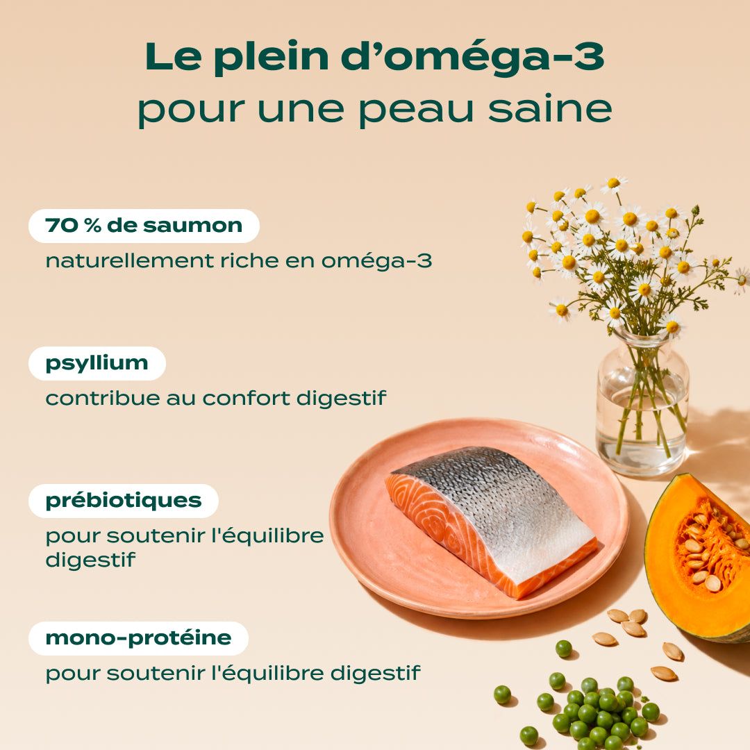 SAUMON, COURGE, CAMOMILLE