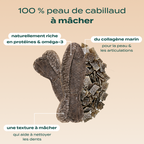 PACK PEAU ET PELAGE CHIEN