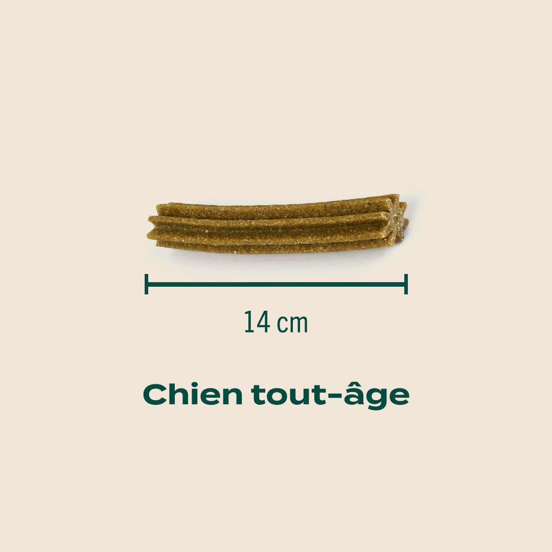 STICKS MENTHE, SAUGE - Offre compte abonné