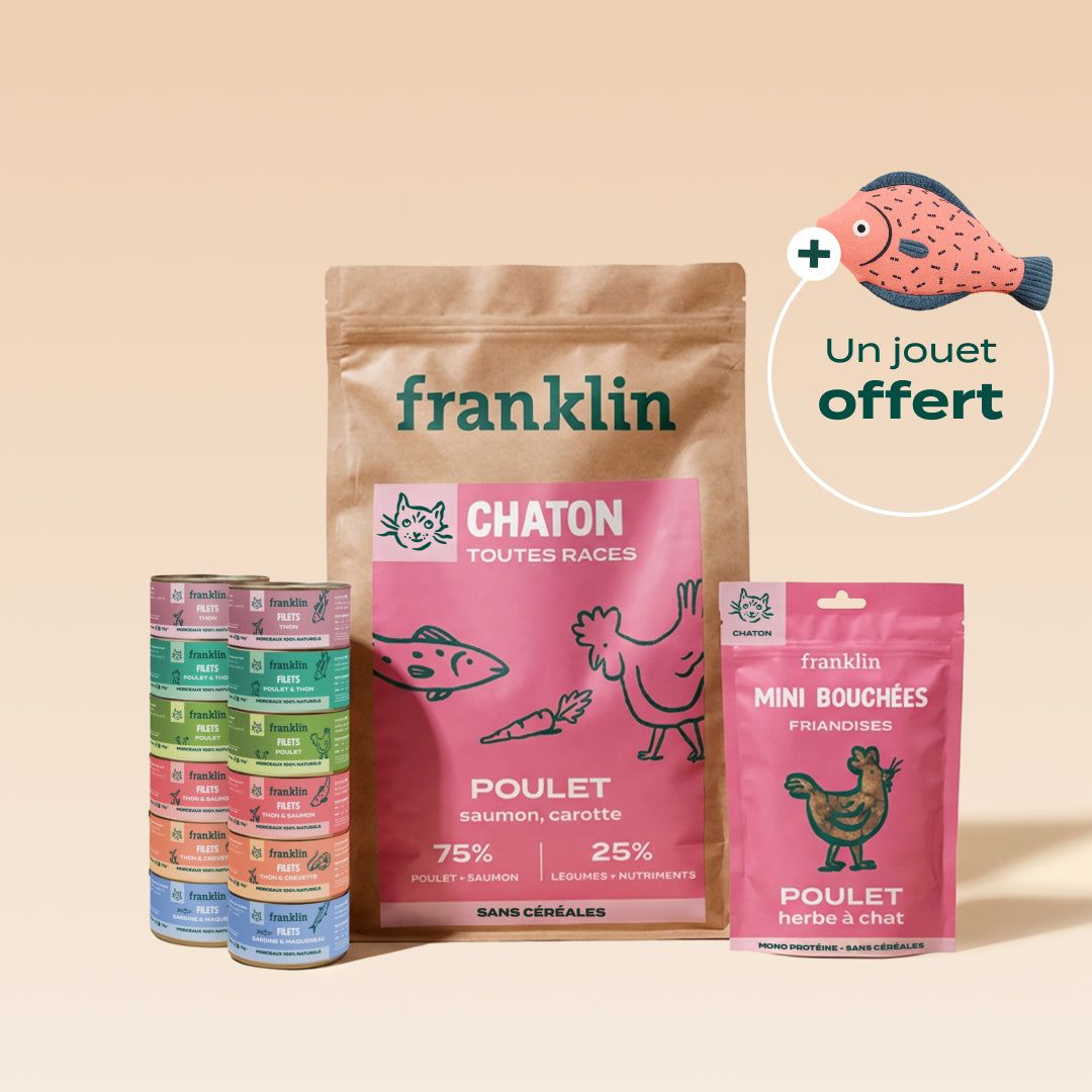 PACK DÉCOUVERTE CHATON