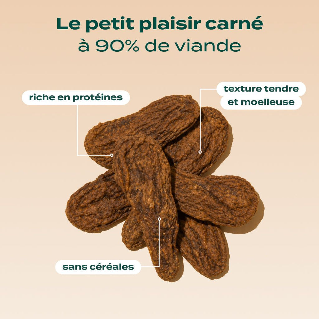 FAISAN SÉCHÉ