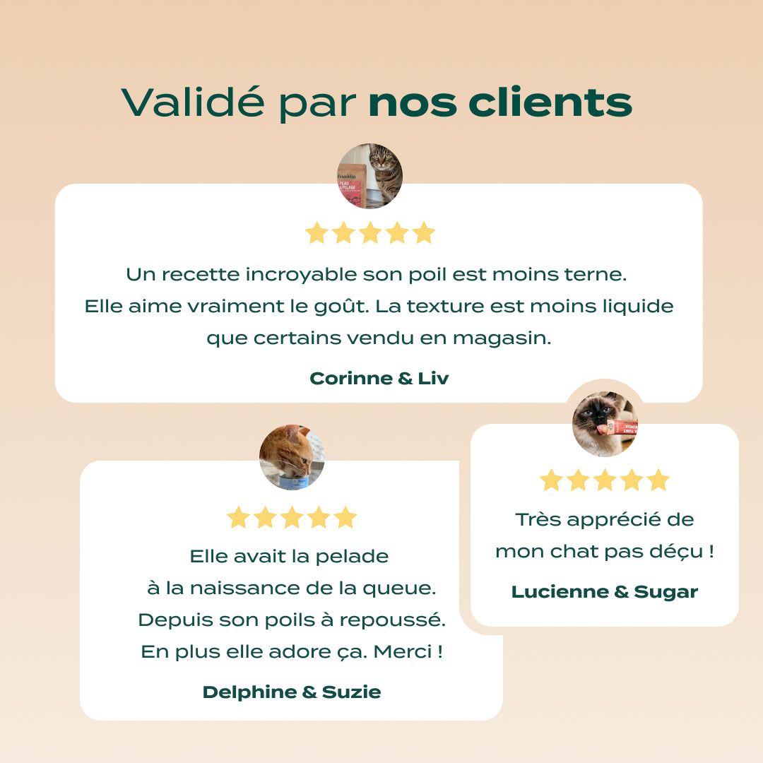 PACK ANTI-ALLERGIE CHAT