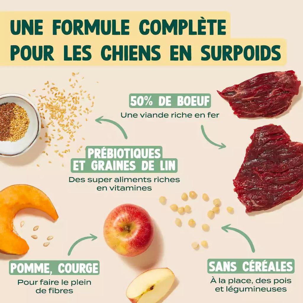 BOEUF, POMME, COURGE
