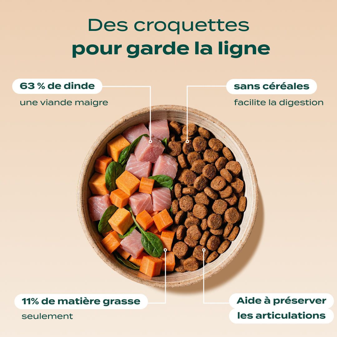 PACK SURPOIDS CHIEN