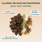 PACK DIGESTION CHIEN