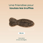 POISSONS À MÂCHER