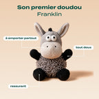 PACK DÉCOUVERTE CHIOT