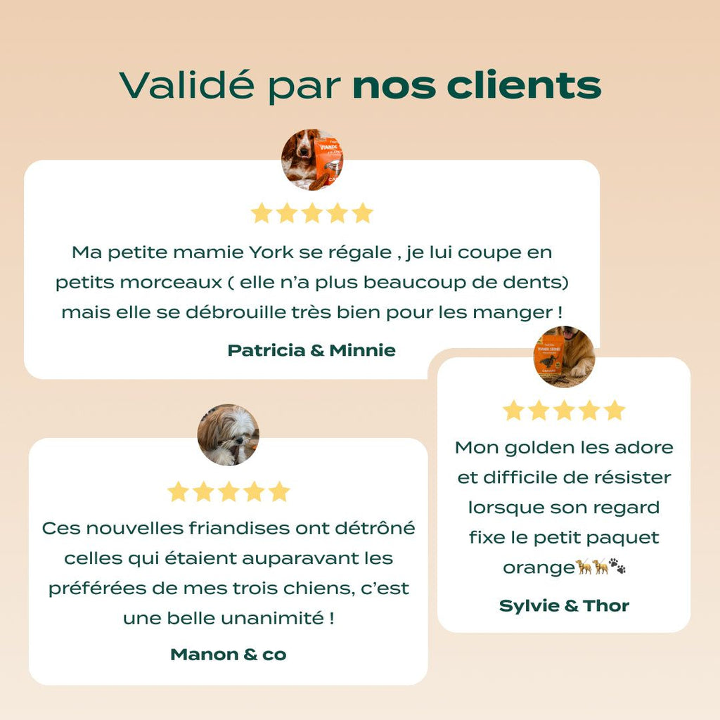 CANARD SÉCHÉ