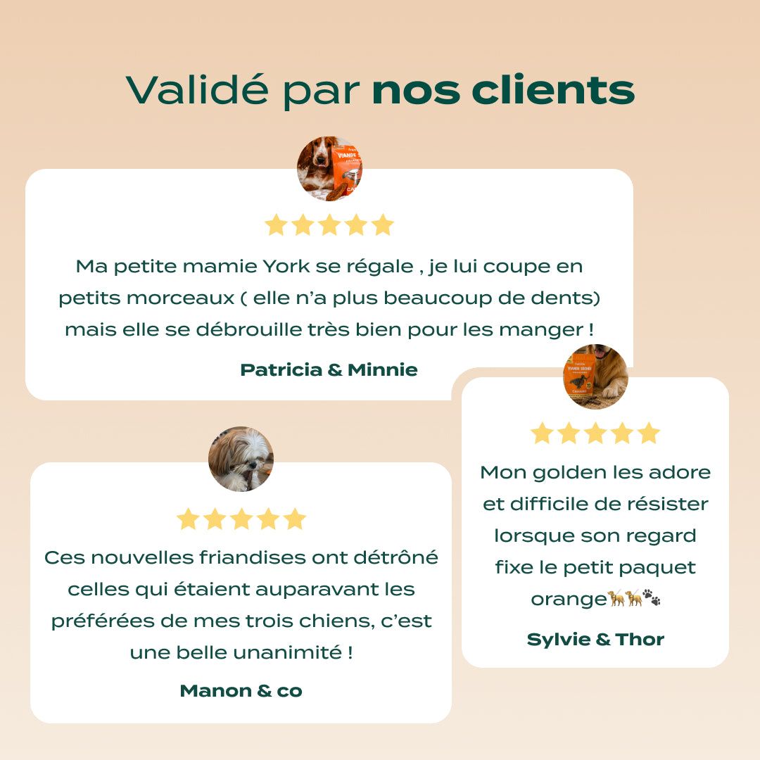 CANARD SÉCHÉ