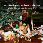 OS À MÂCHER