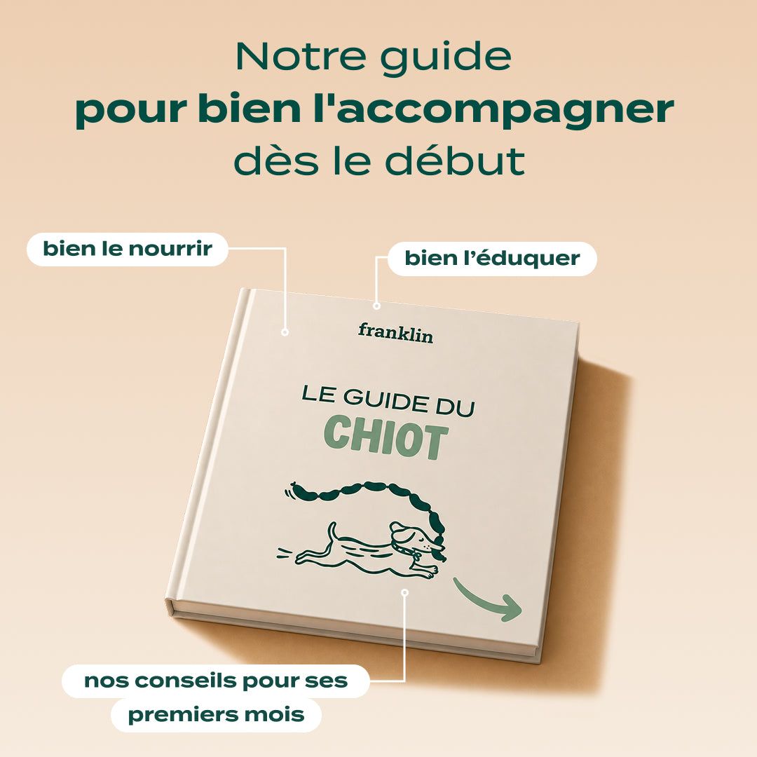 PACK DÉCOUVERTE CHIOT