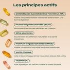 GUMMIES PROBIOTIQUES