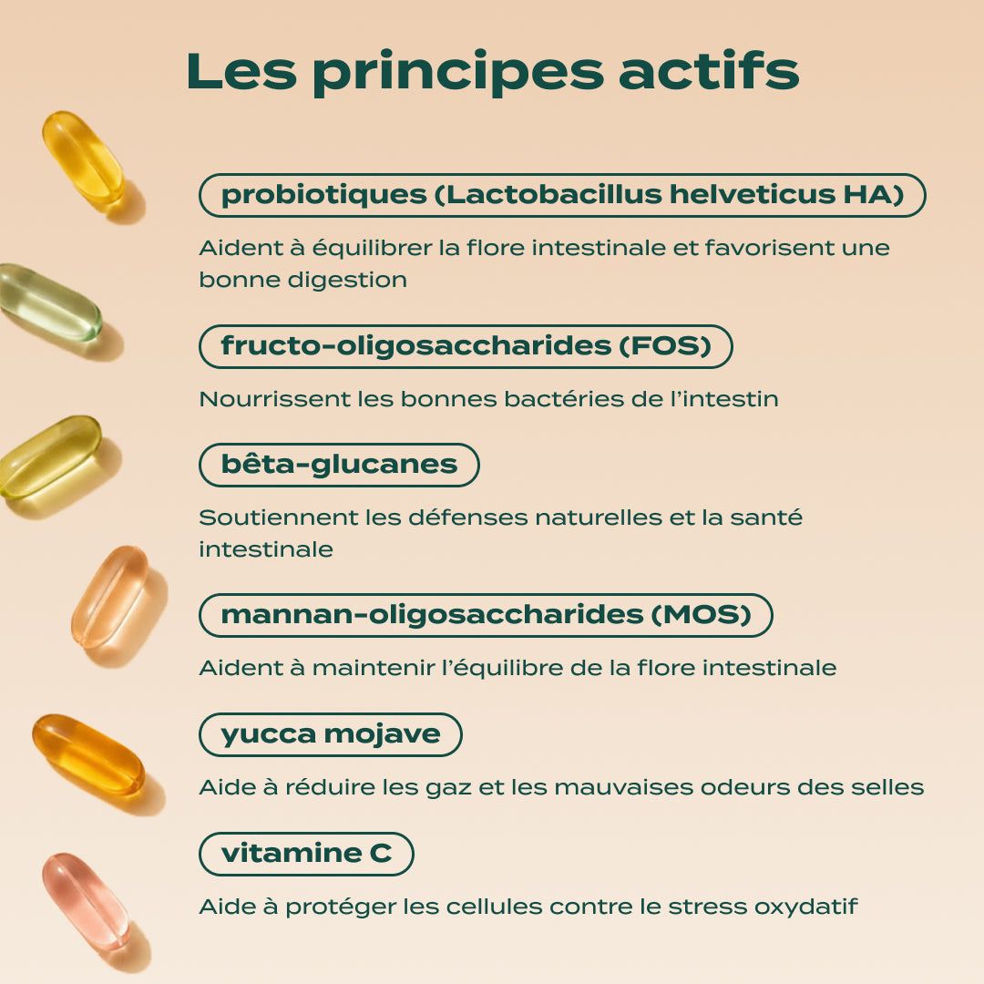 GUMMIES PROBIOTIQUES
