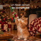 SAPIN DE NOËL HERBE À CHAT