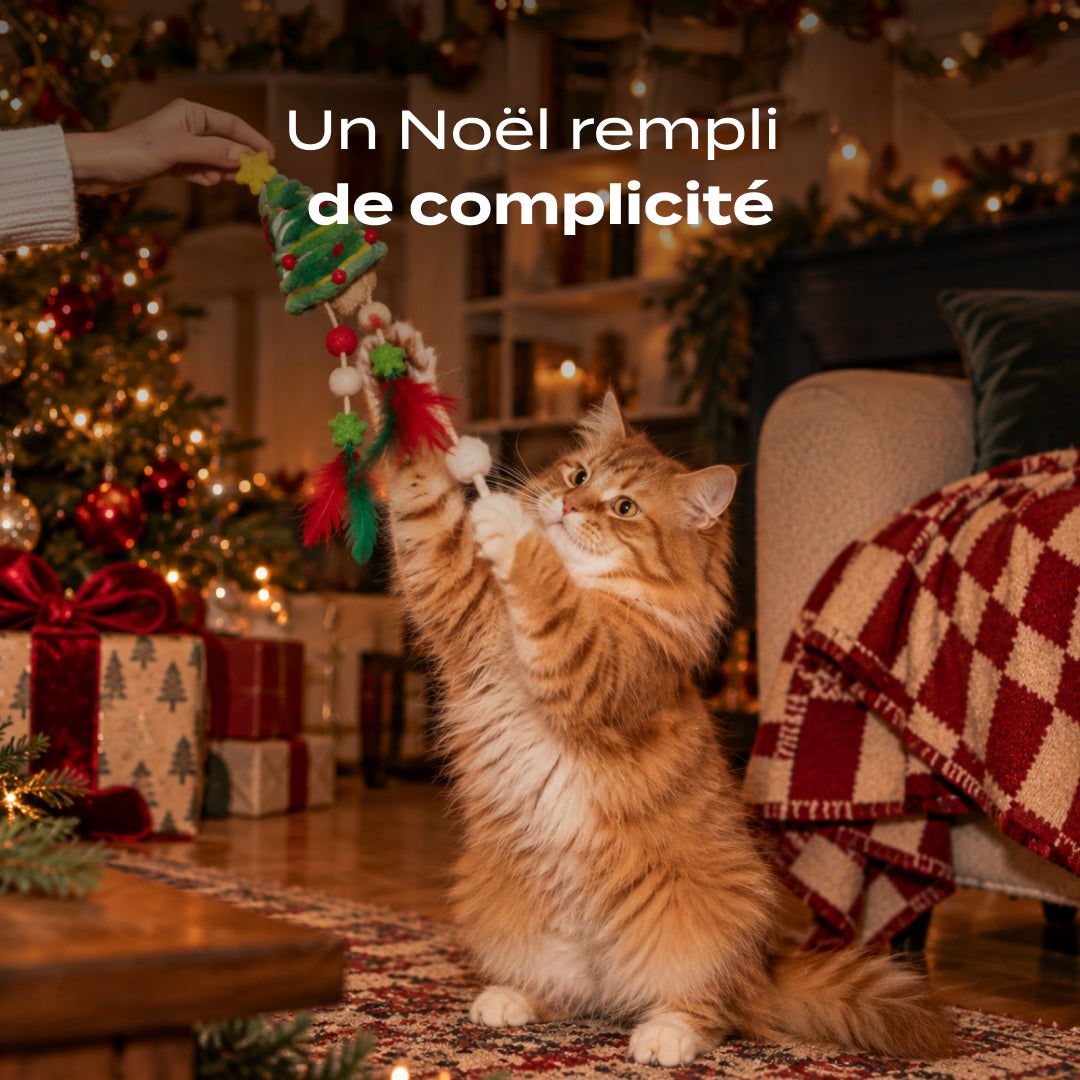 SAPIN DE NOËL HERBE À CHAT
