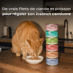MULTIPACK FILETS 6 SAVEURS