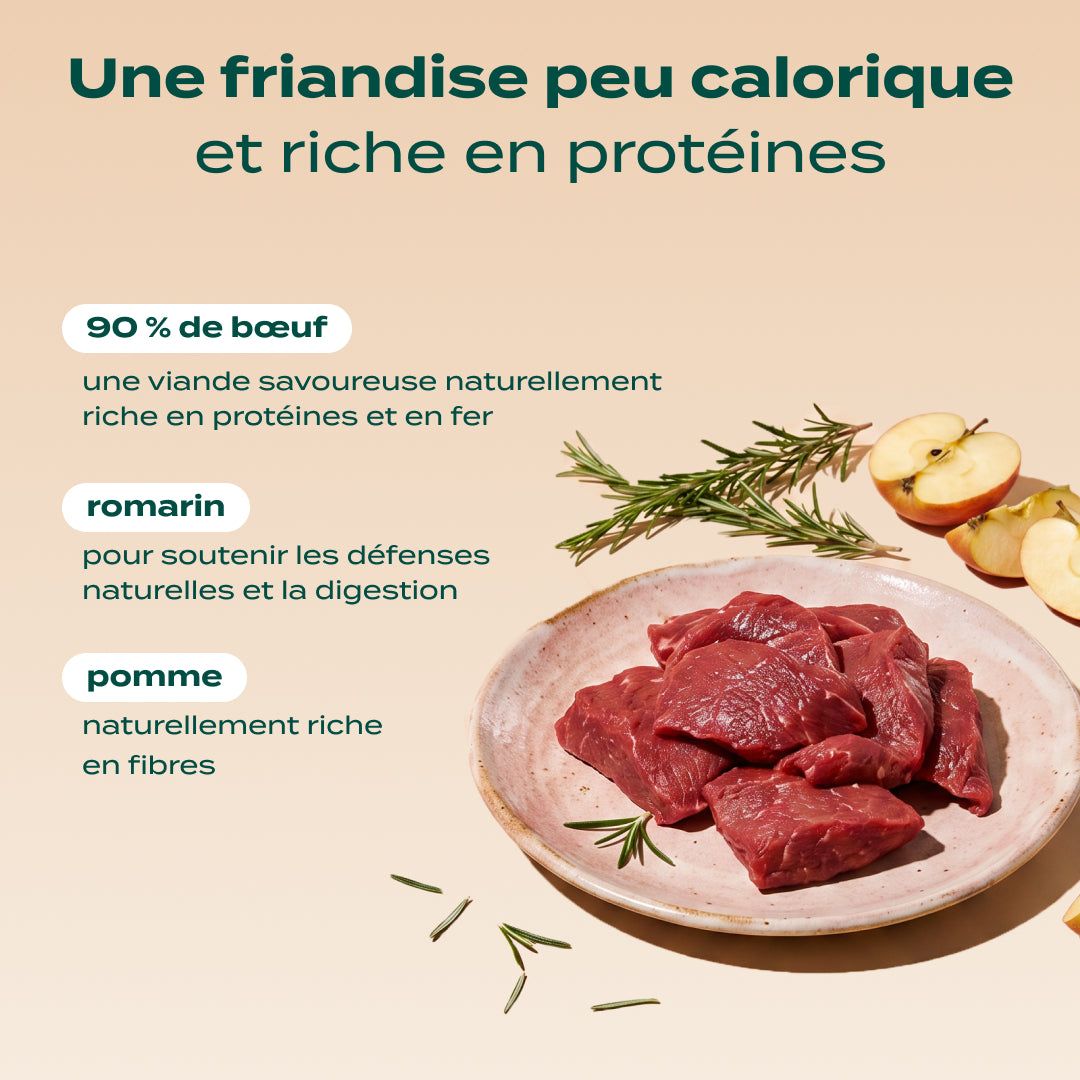 Mini viande séchée boeuf
