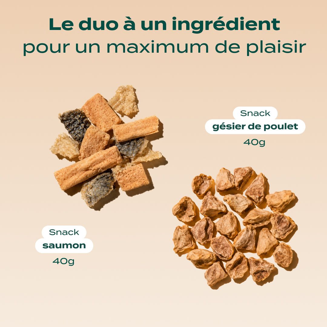 DUO SNACK SAUVAGE