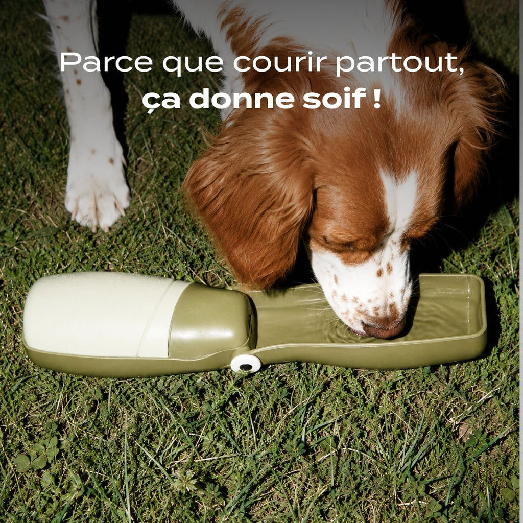 GOURDE CHIEN 250 ml