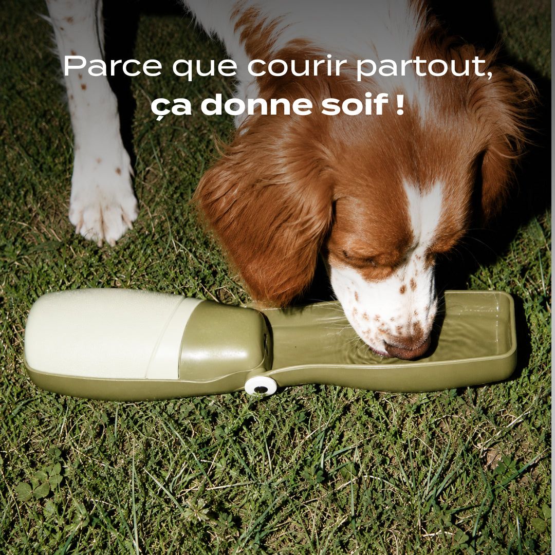 GOURDE CHIEN 250 ml