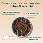 PACK ANTI-STRESS CHIEN
