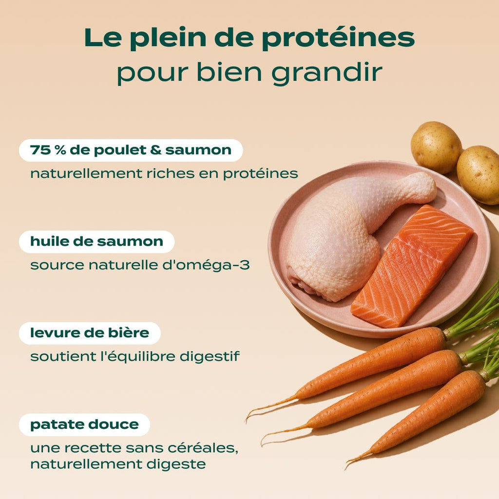 POULET, SAUMON, CAROTTE