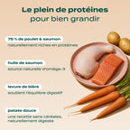 POULET, SAUMON, CAROTTE