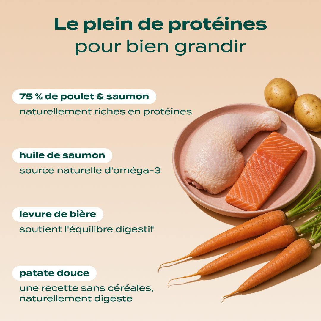 POULET, SAUMON, CAROTTE