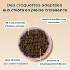 DINDE, TRUITE, PATATE DOUCE