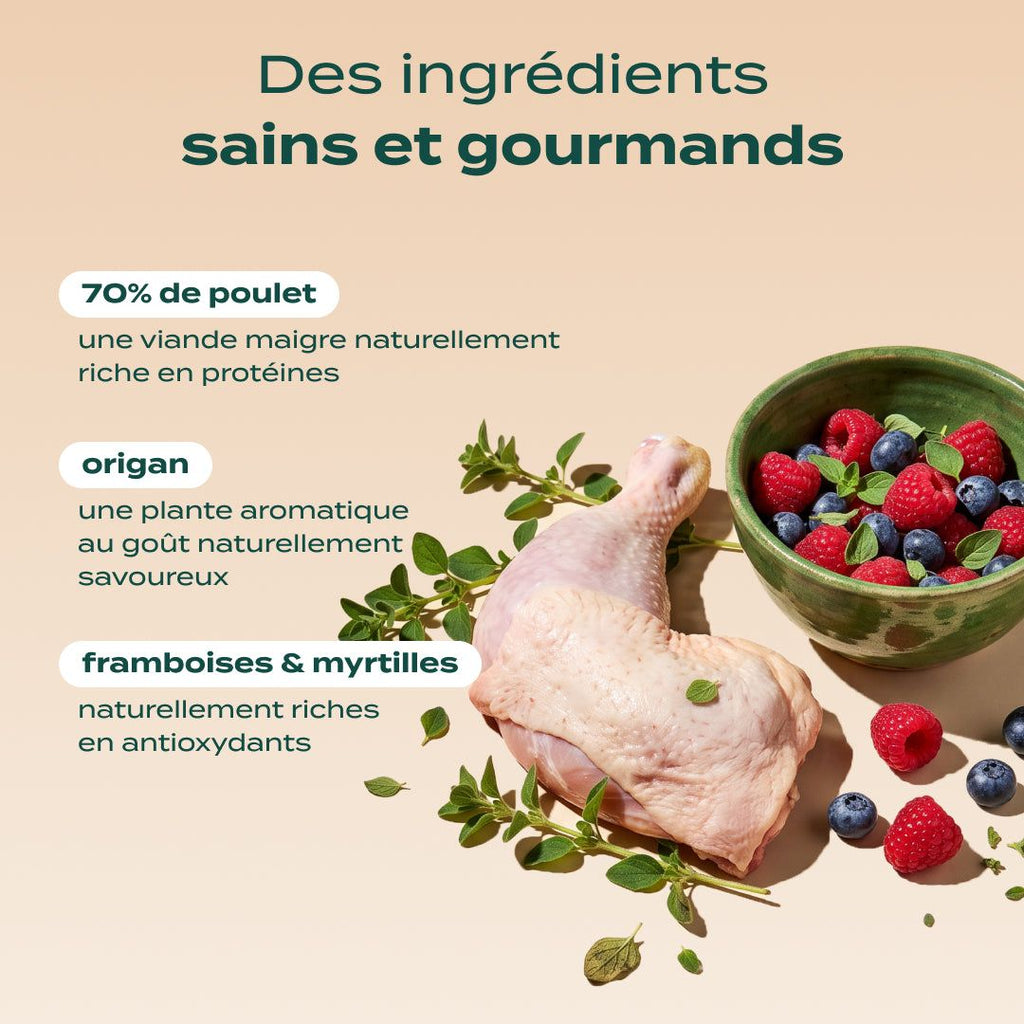 POULET, FRAMBOISE, ORIGAN