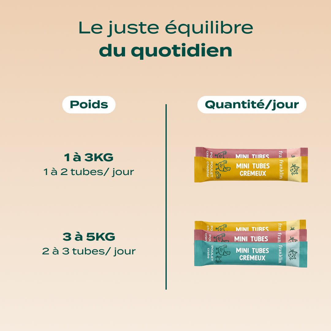 MULTIPACK MINI TUBES POULET
