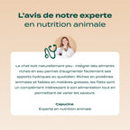 MULTIPACK FILETS 6 SAVEURS