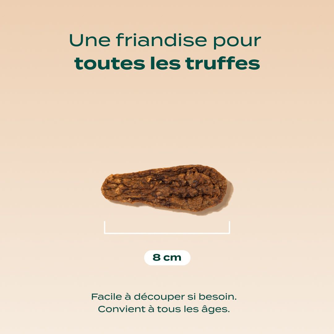 CANARD SÉCHÉ