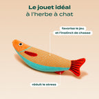 PACK DÉCOUVERTE CHAT
