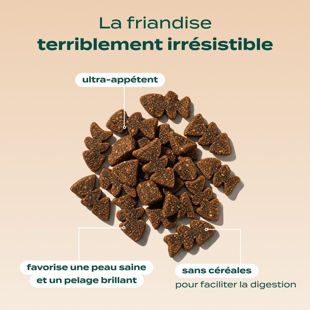 BOUCHÉES ENSORCELÉES SAUMON, CITROUILLE