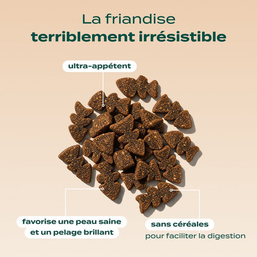 BOUCHÉES ENSORCELÉES SAUMON, CITROUILLE