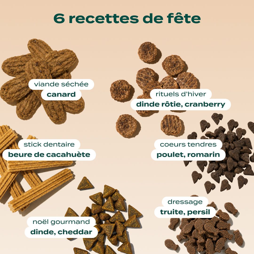 CALENDRIER DE L'AVENT