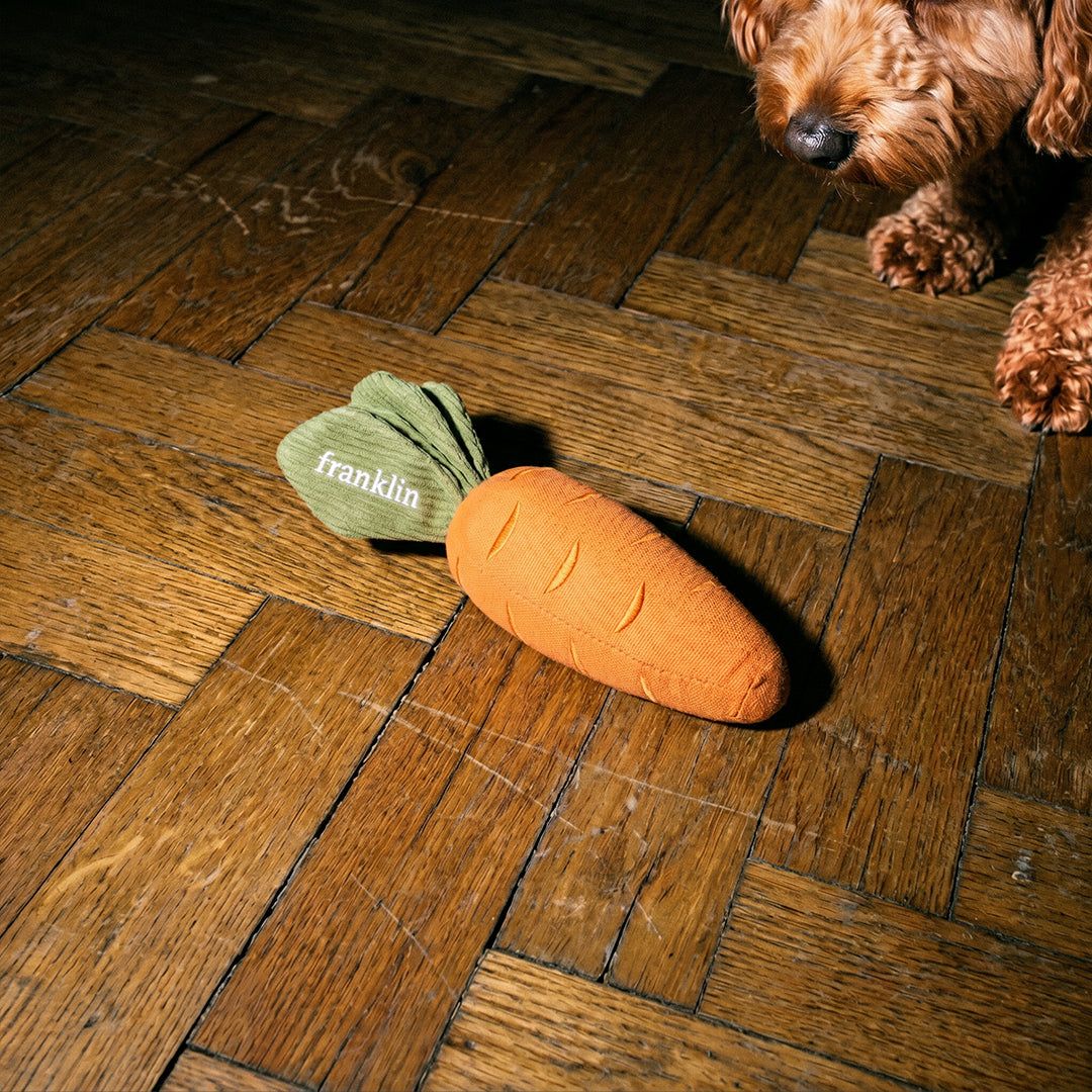 JOUET CHIEN (CADEAU)