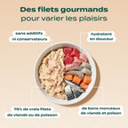PACK DIGESTION CHAT