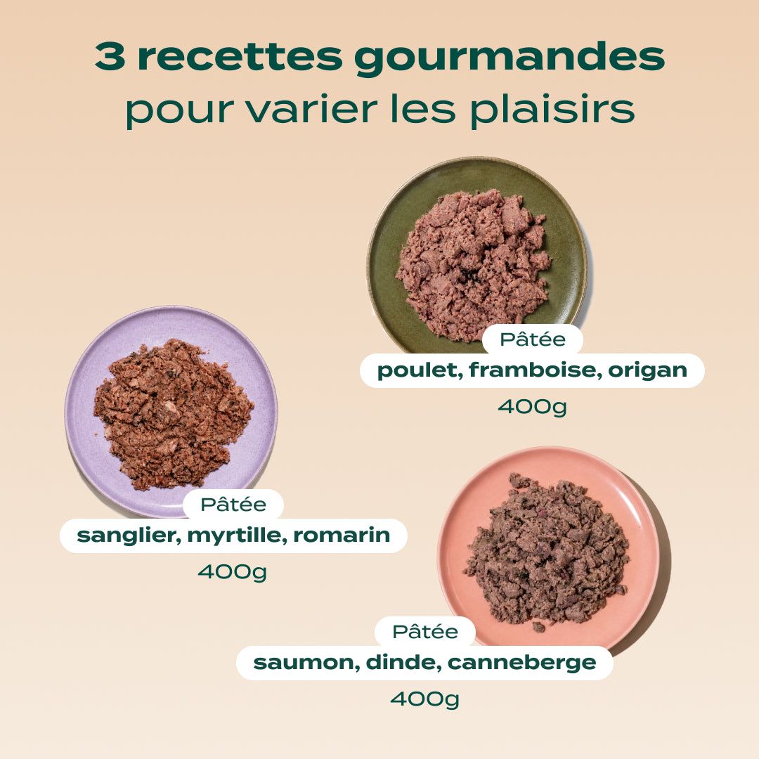 TRIO 3 SAVEURS PÂTÉES